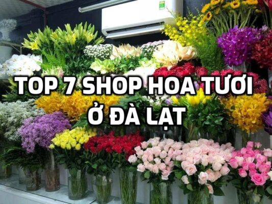 TOP 7 Shop Hoa Tươi ở Đà Lạt