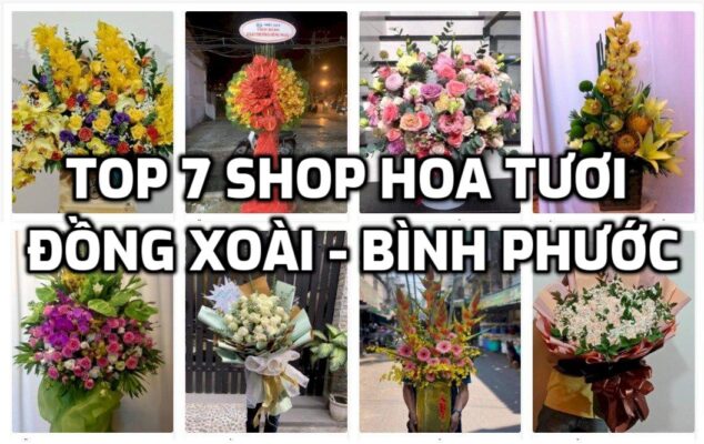 TOP 7 Shop Hoa Tươi ở Đồng Xoài - Bình Phước