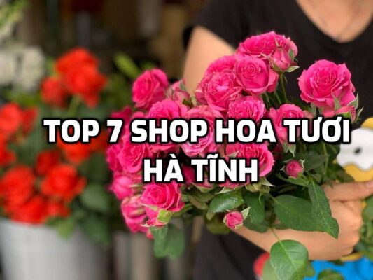 TOP 7 Shop Hoa Tươi ở Hà Tĩnh