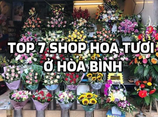 TOP 7 Shop Hoa Tươi ở Hòa Bình