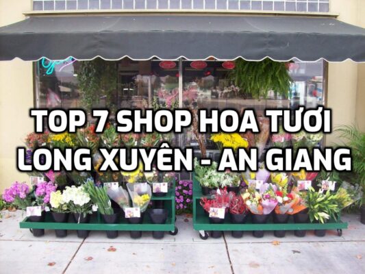 TOP 7 Shop Hoa Tươi ở Long Xuyên - An Giang