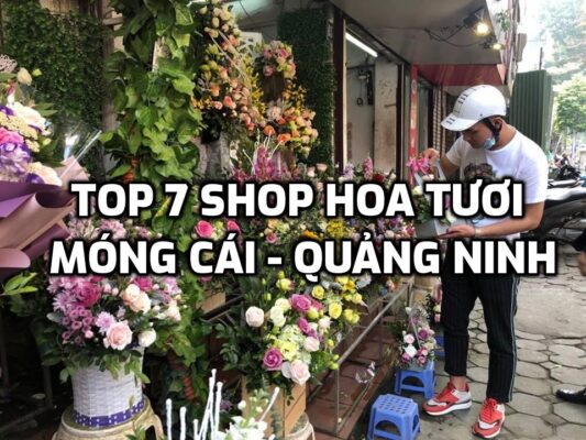 TOP 7 Shop Hoa Tươi ở Móng Cái - Quảng Ninh