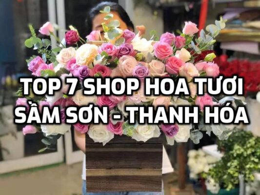 TOP 7 Shop Hoa Tươi ở Sầm Sơn - Thanh Hóa