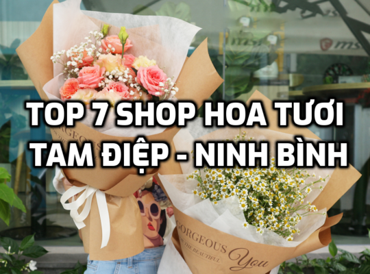 TOP 7 Shop Hoa Tươi ở Tam Điệp - Ninh Bình