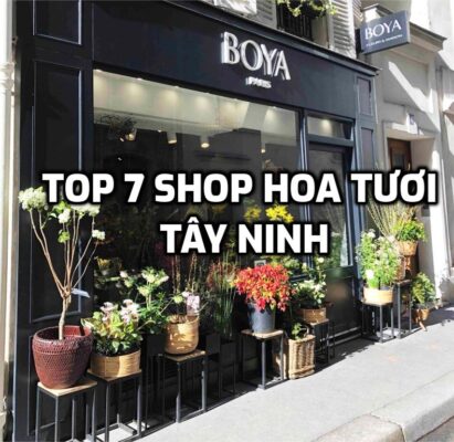 TOP 7 Shop Hoa Tươi ở Tây Ninh