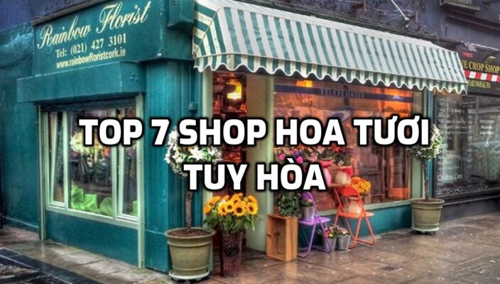 TOP 7 Shop Hoa Tươi ở Tuy Hòa