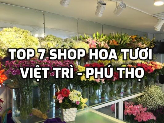 TOP 7 Shop Hoa Tươi ở Việt Trì - Phú Thọ