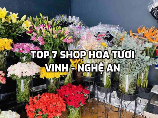 TOP 7 Shop Hoa Tươi ở Vinh - Nghệ An