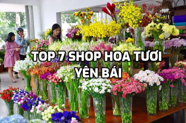 TOP 7 Shop Hoa Tươi ở Yên Bái